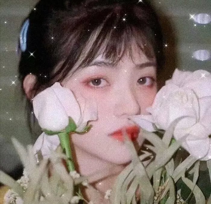 淑女思春